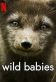 Wild Babies Poster
