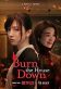 Burn the House Down Poster