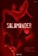 Salamander Poster