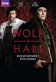 Wolf Hall Poster